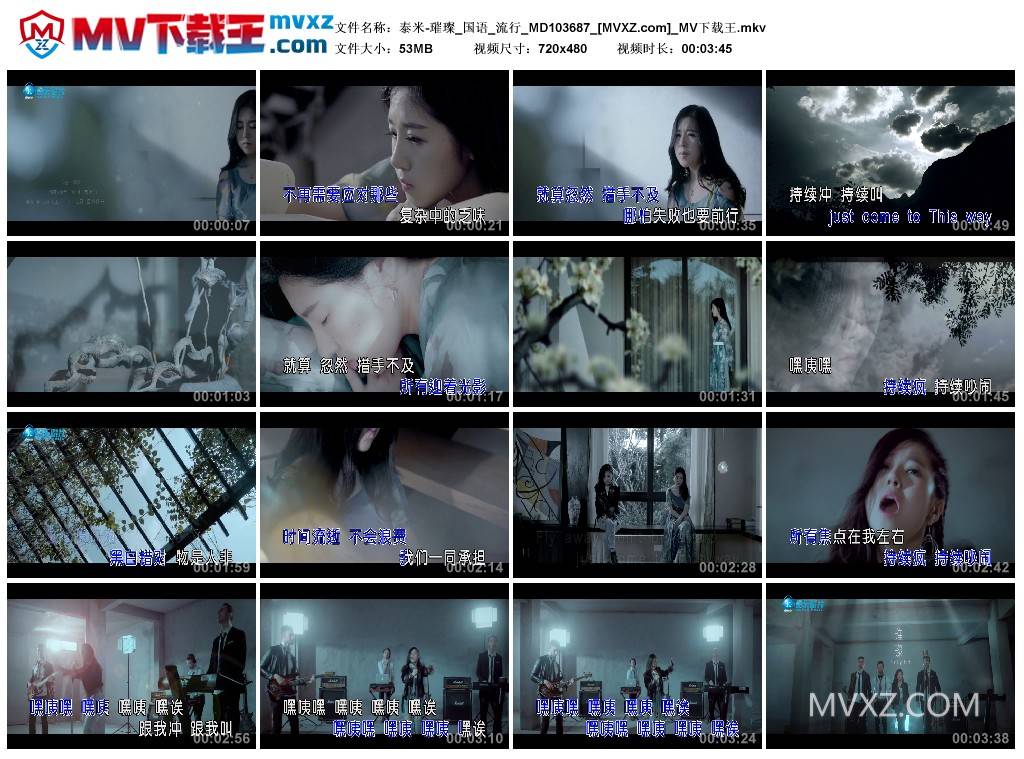 泰米-璀璨_国语_流行_MD103687